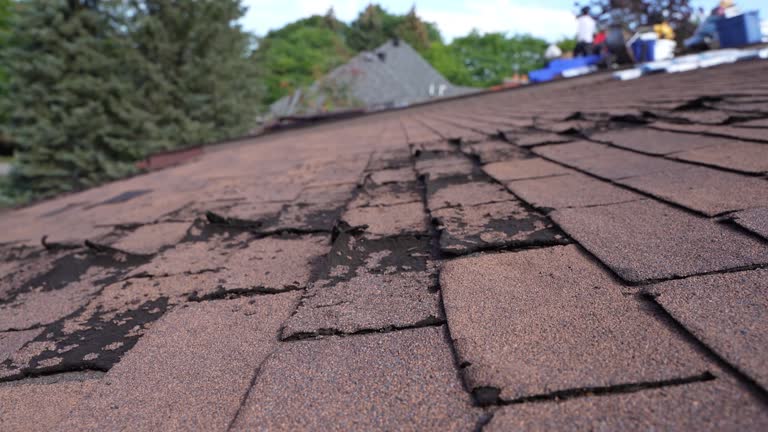 Best Tile Roofing Installation  in Walterboro, SC