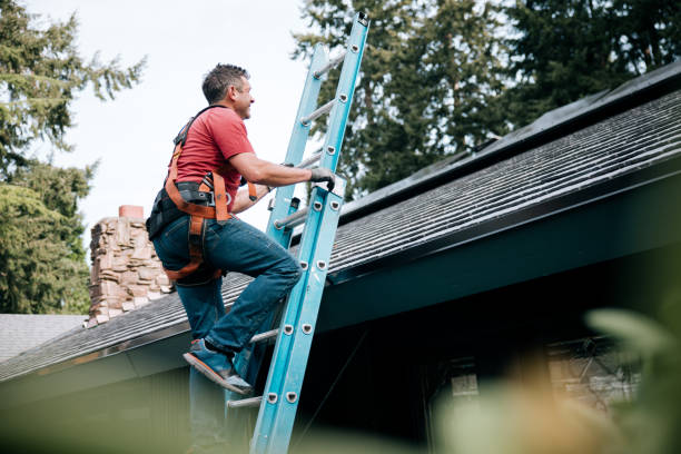 Best Cold Roofs  in Walterboro, SC